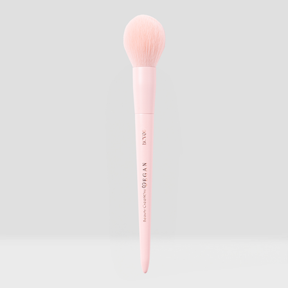 Vegan Brush Face & Eye Bundle